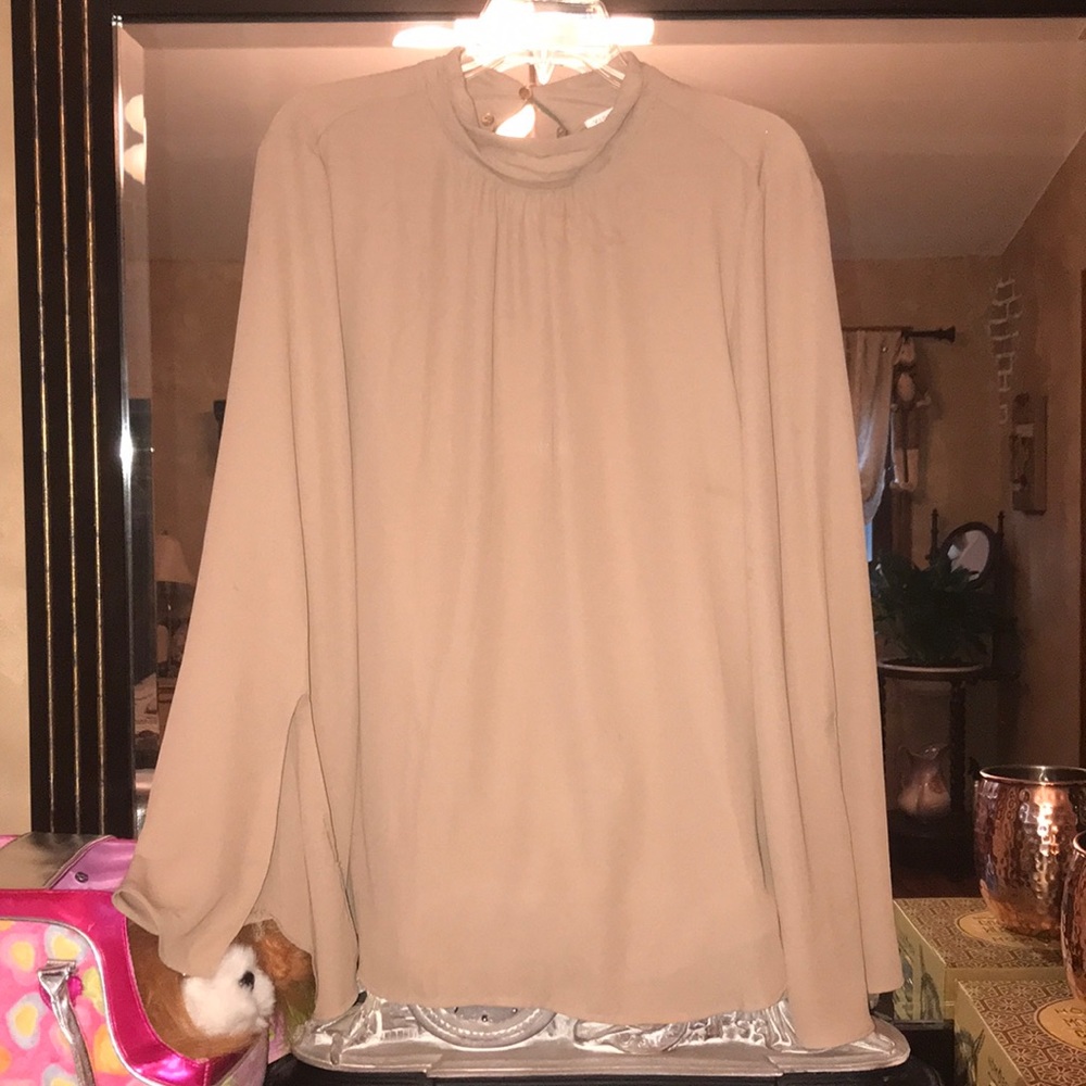 NEW w/o a tag gorgeous long sleeves beige blouse